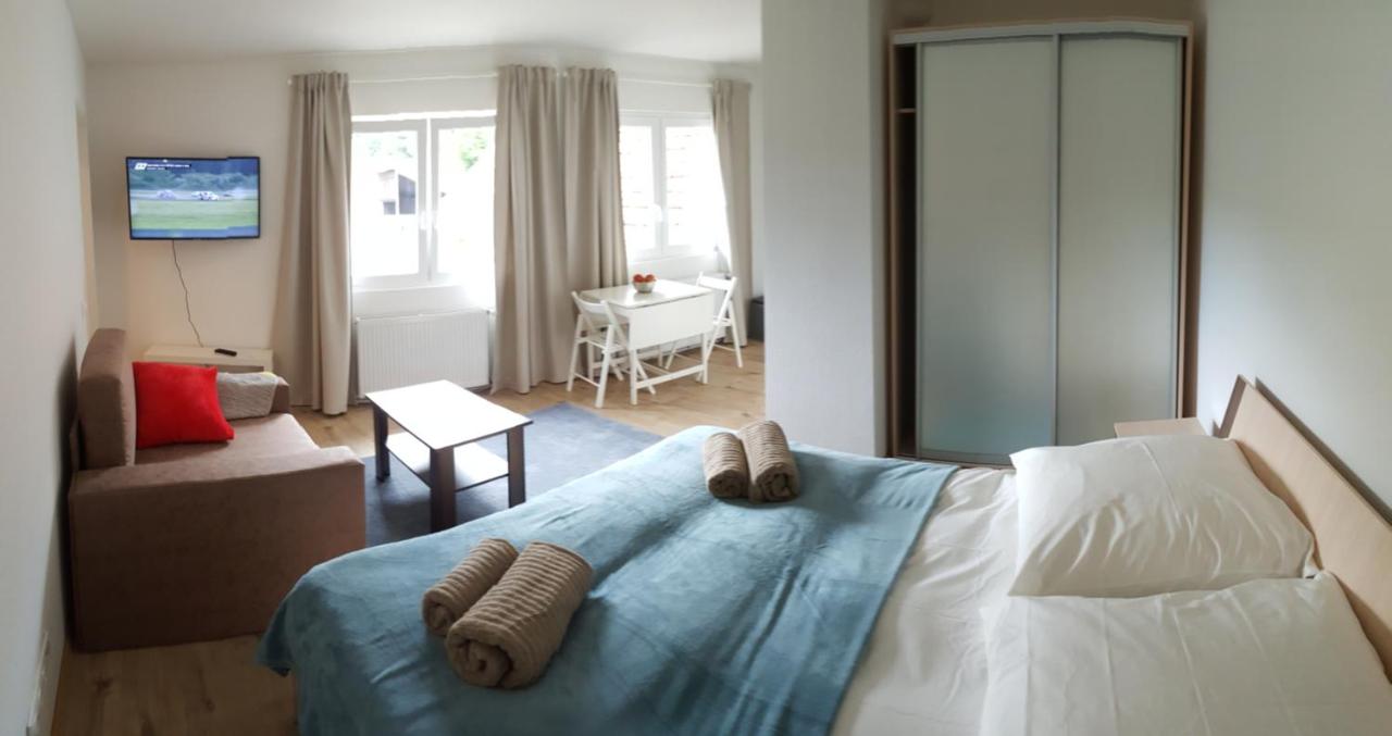 Studio Apartment