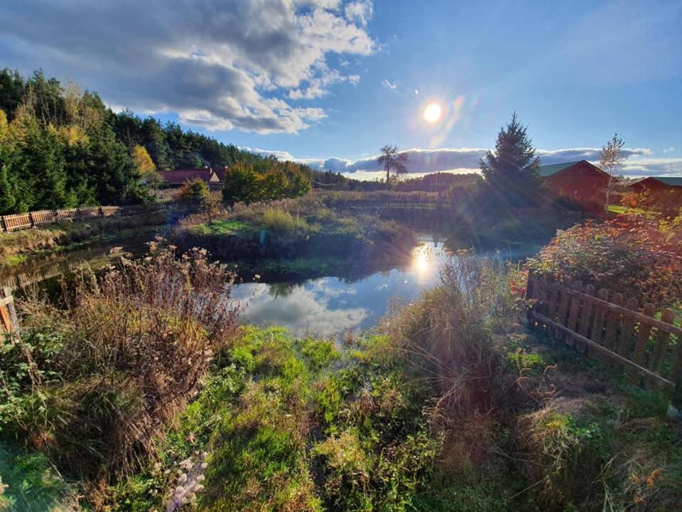 B&B Łowyń - Agrodomek - Bed and Breakfast Łowyń