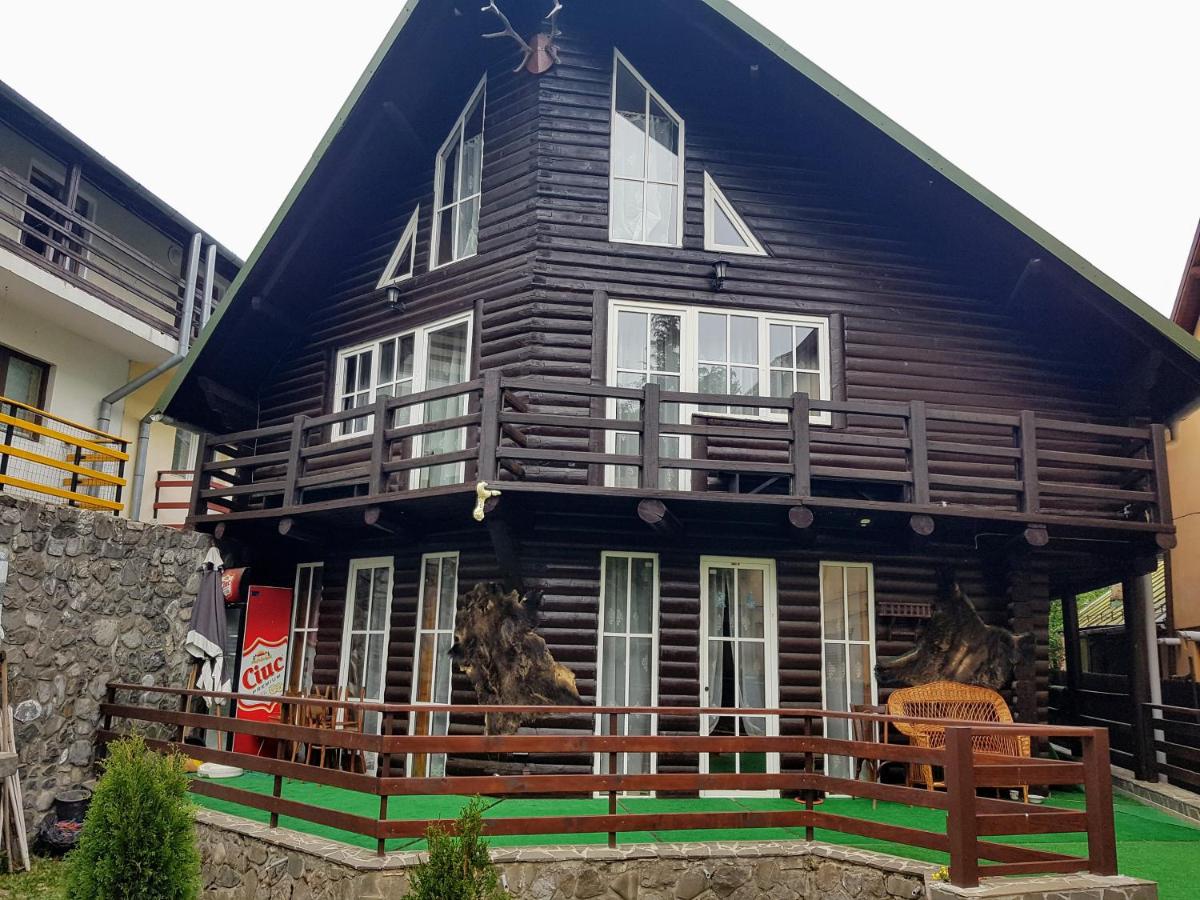 Cabana Bellavista Bușteni - B&B