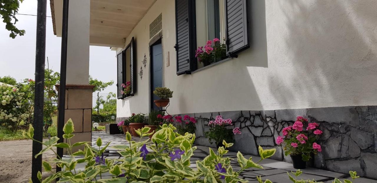 Etna, salvia e rosmarino - Ferienwohnung Maletto