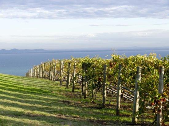 Geelong Serviced Apartments by Short & Long Stays - B&B
