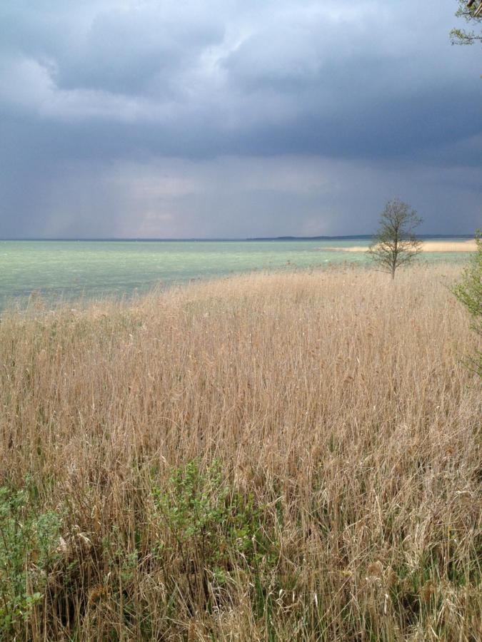 Apartamento de 2 dormitorios