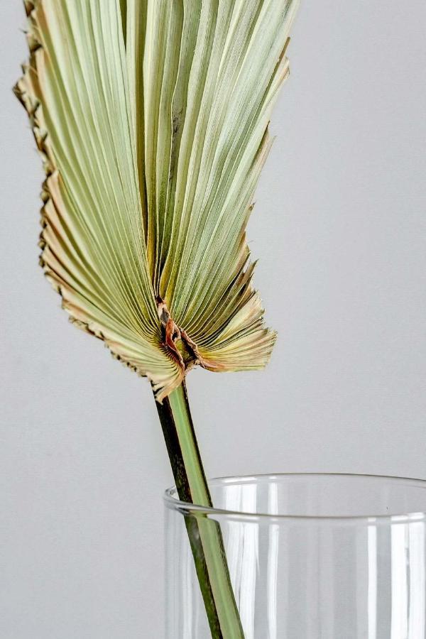 Appartamento Comfort Plus