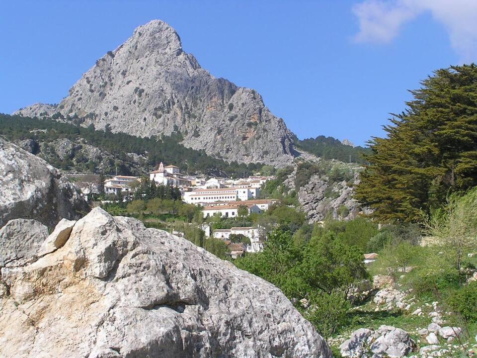 Un paraíso en Grazalema - Bed and Breakfast Grazalema