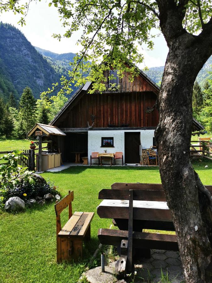 Hiska Rutar Valley Voje - Ferienwohnung
