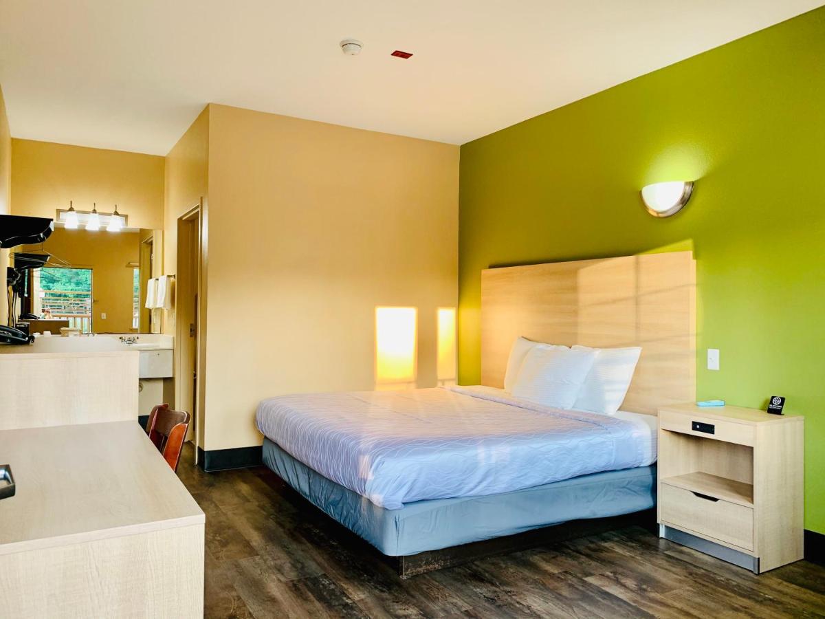 Habitación con cama extragrande.