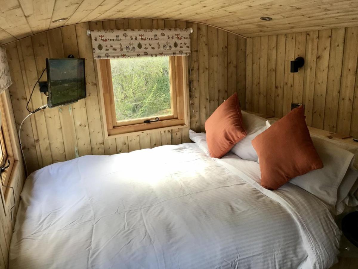 Chalet 1 Chambre