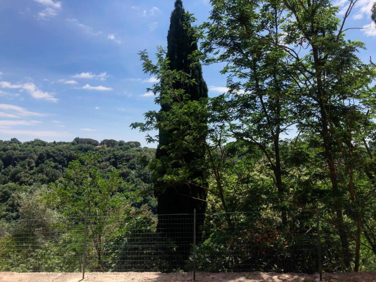La Casa all'Oliveto - B&B