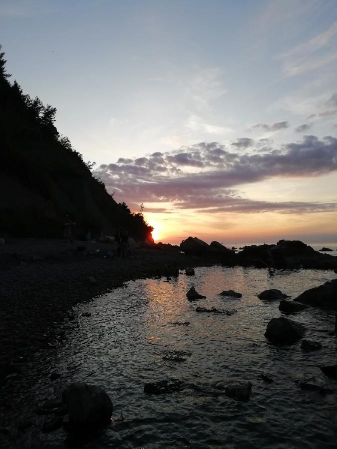Arbutus Izola - B&B Izola