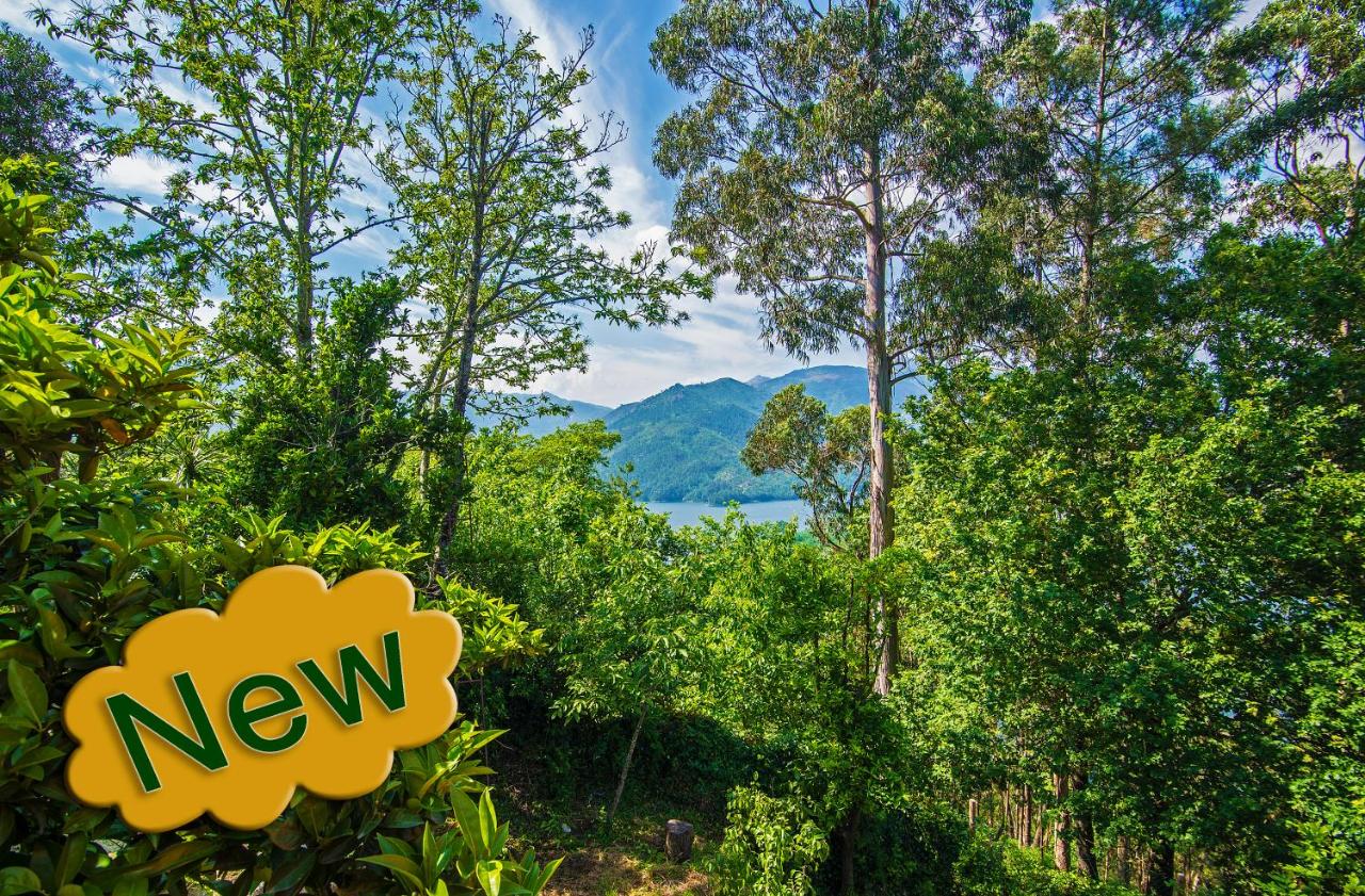 Welcome to Gerês-Green view - B&B Vieira do Minho