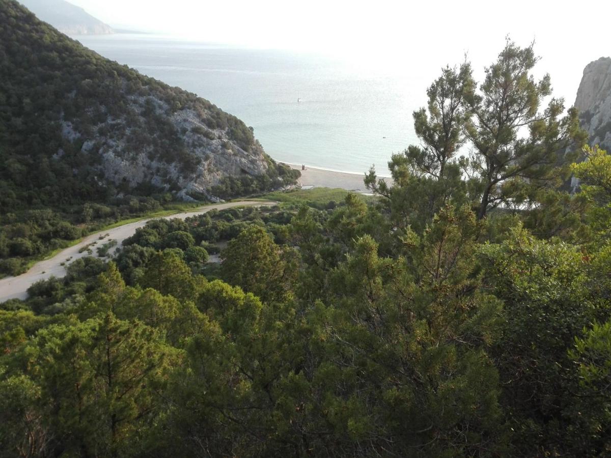 Monolocale Marizzola - Bed and Breakfast Cala Gonone