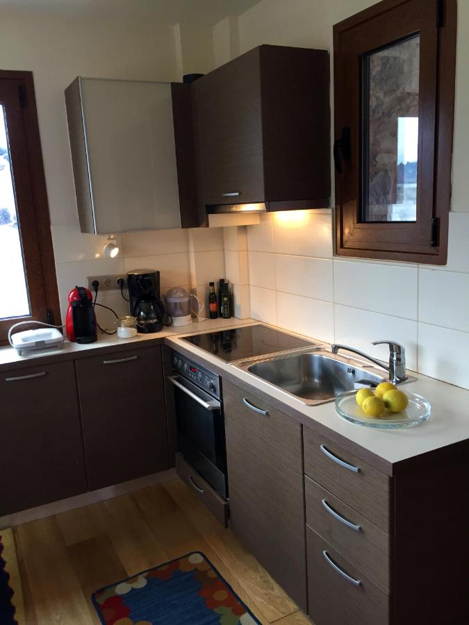 Villa Dream Arachova - B&B
