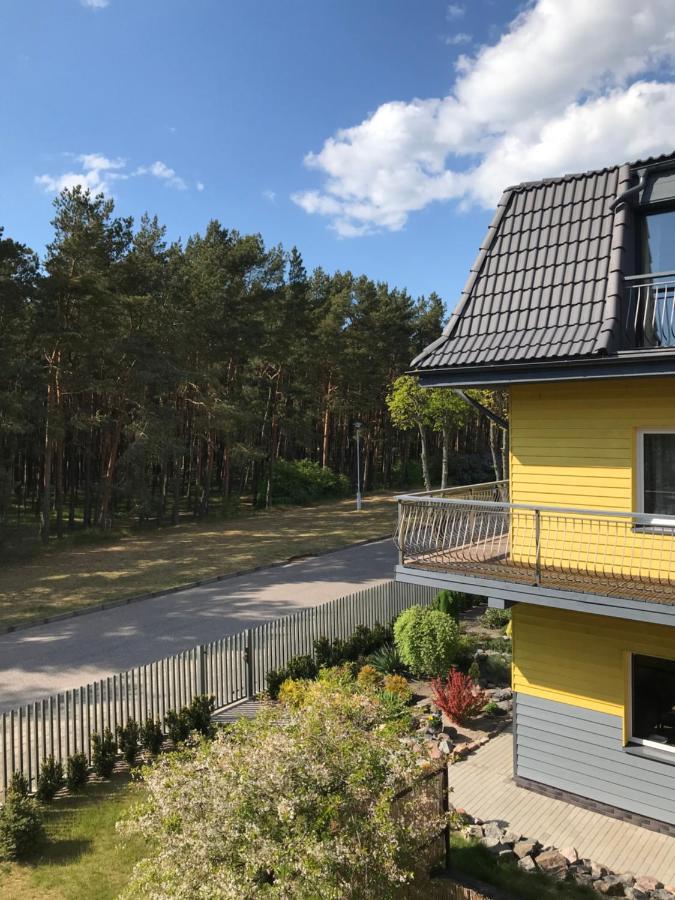 Paulinastar - B&B Palanga