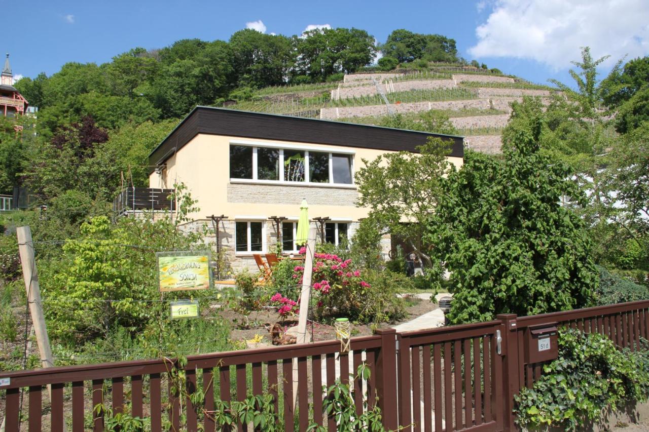 B&B Radebeul - Ferienwohnung Sonja am Weinberg - Bed and Breakfast Radebeul