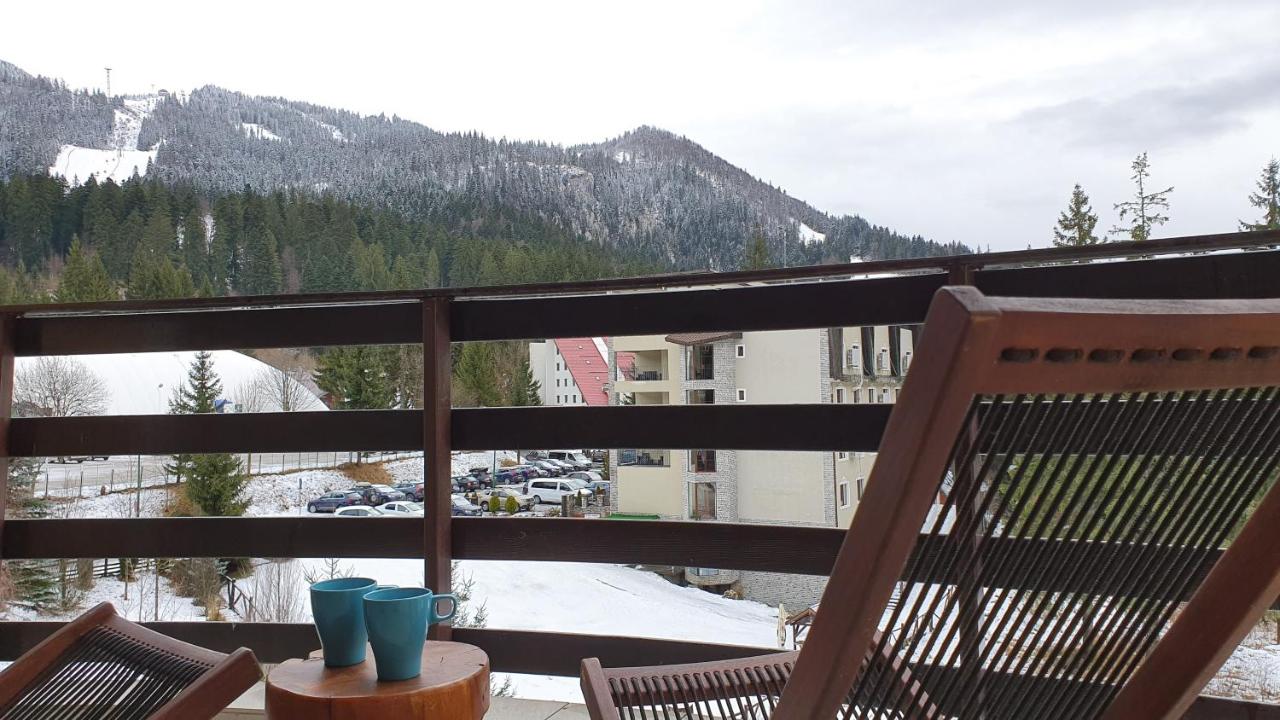 Marmot apartment up & down - B&B Poiana Brasov