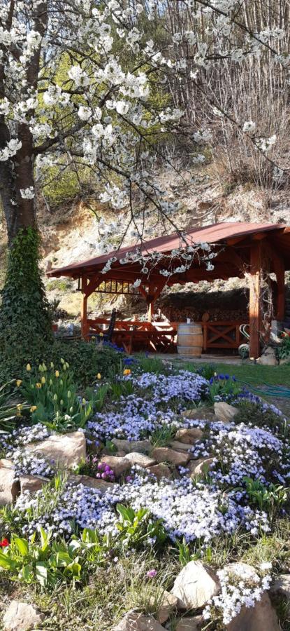 Single Room with Lake View