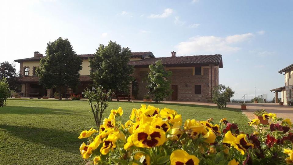 Agriturismo AMA - B&B