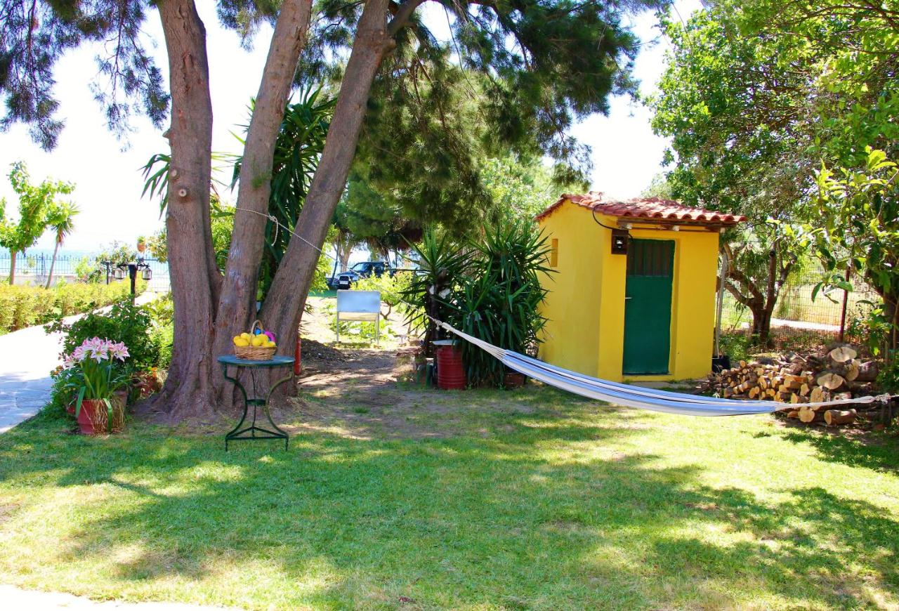Amarynthos Beachfront Vacation House with garden - B&B