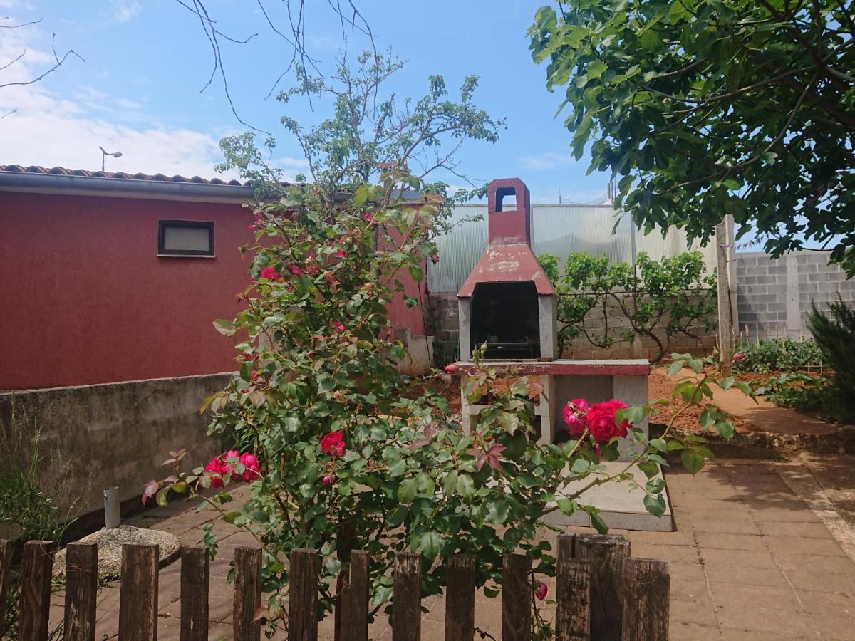 Apartments Pomer - B&B