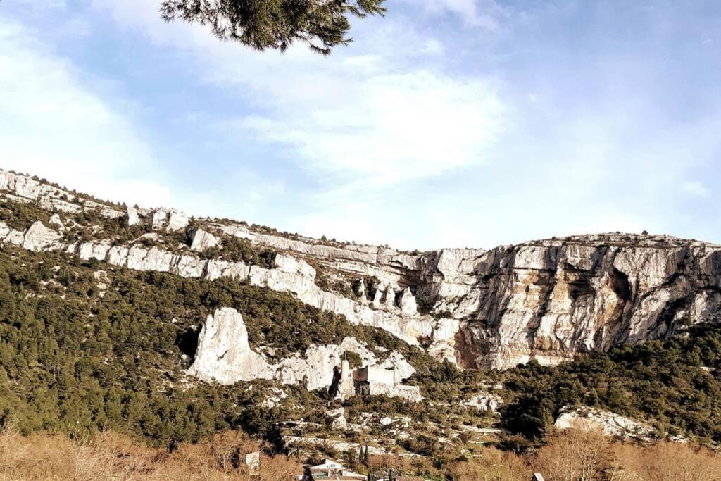 Vue panoramique sur le château,montagne et grottes - B&B Fontaine-de-Vaucluse