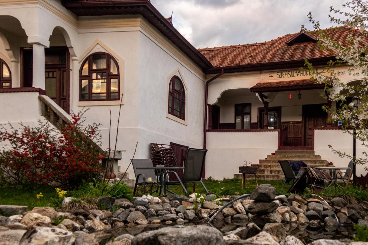 Surasul Muntelui - B&B Dragoslavele