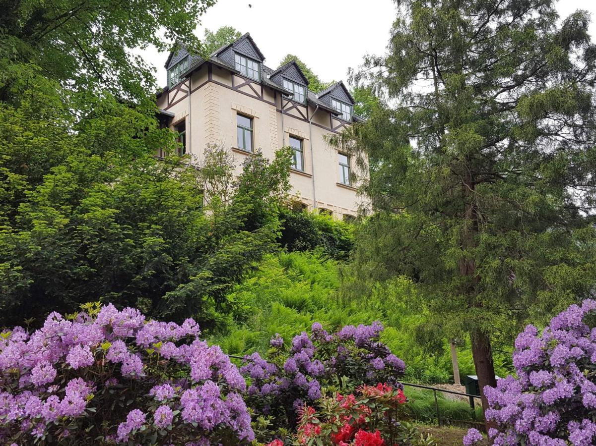 Art-House Kurort Rathen - Bed and Breakfast