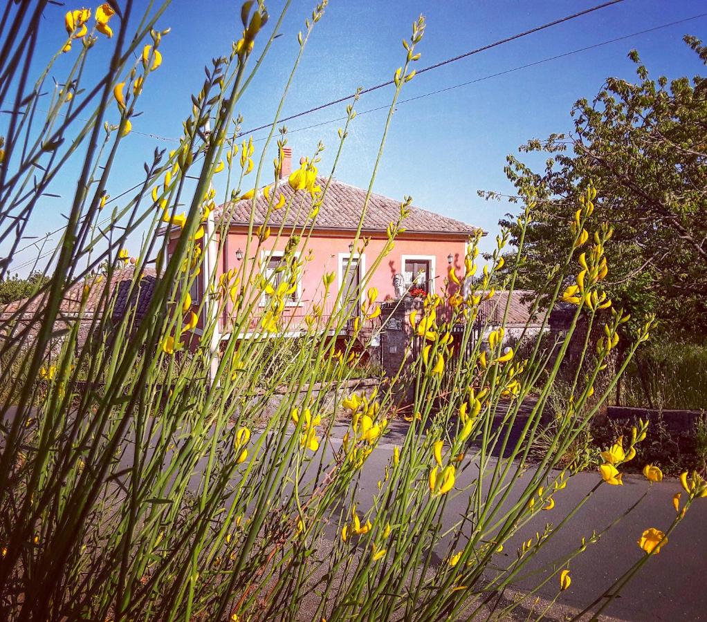 Antica Dimora Benanti - B&B