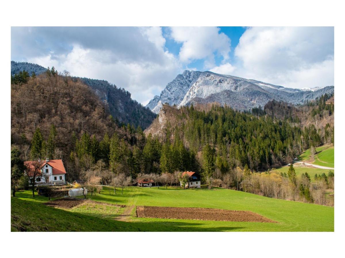 B&B Leutsch - Turistična kmetija Stoglej - Bed and Breakfast Leutsch