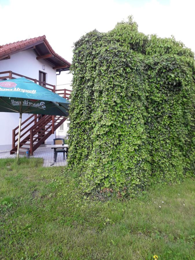 Penzion a restaurace U Strnada - B&B Klatovy
