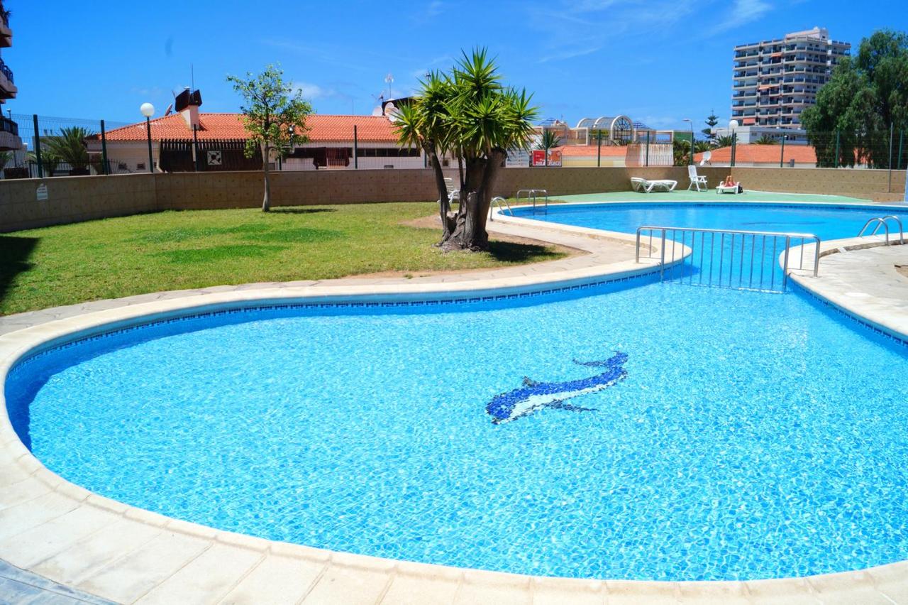Seaview Apartment in Santa Cruz de Tenerife with Pool - Chambres d’hôtes Los Cristianos