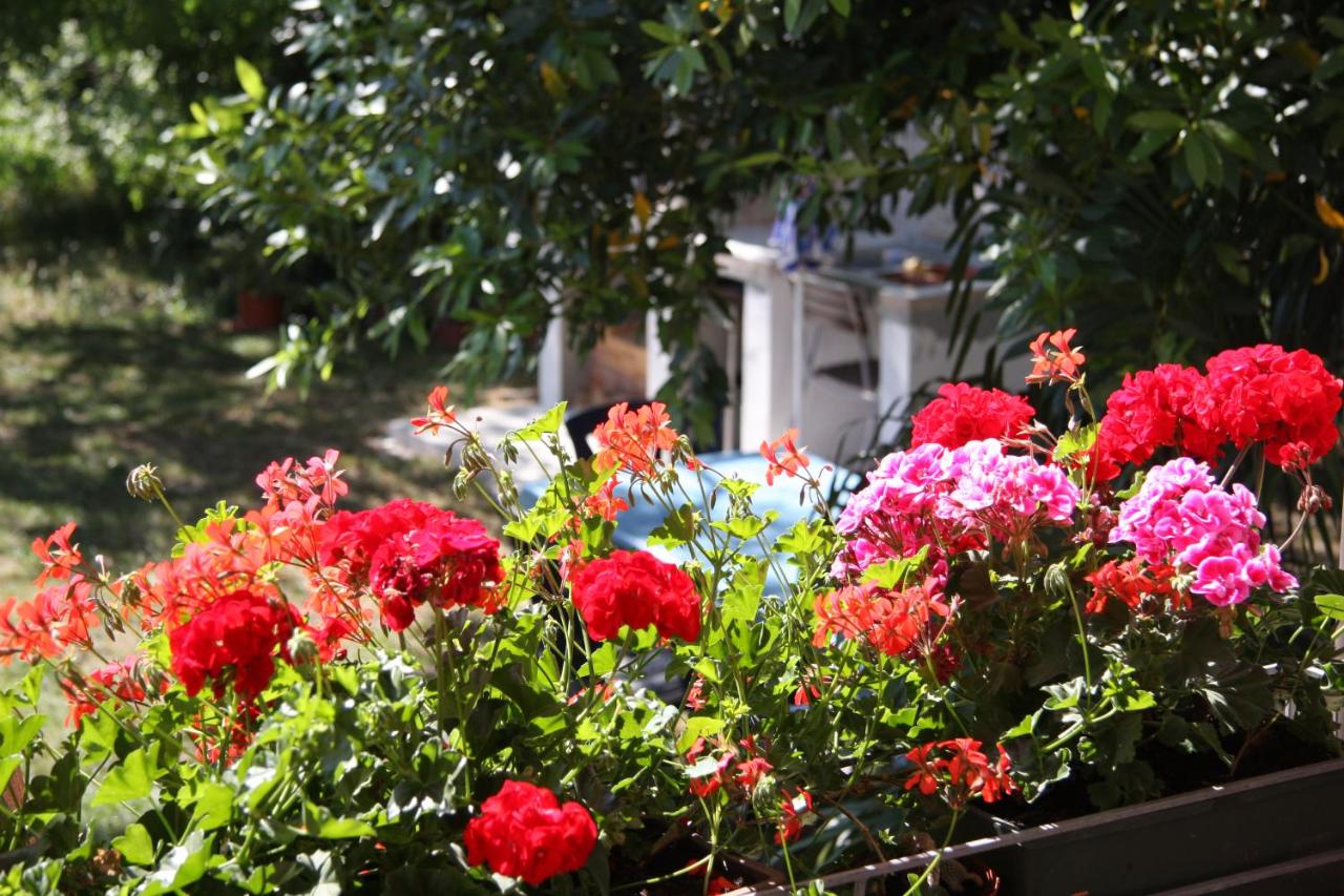 Apartman Rino - B&B