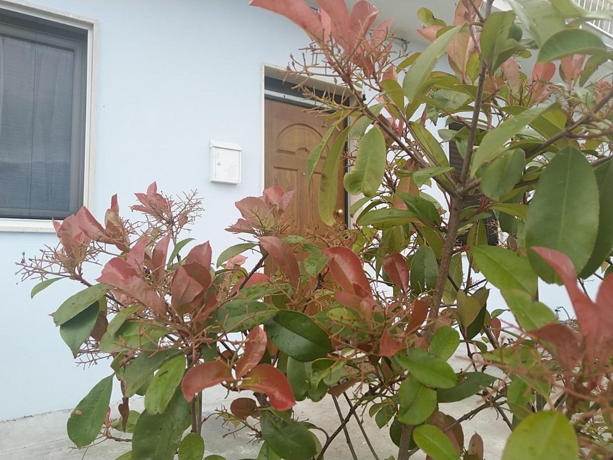 Rosa dei Venti house - B&B Campomarino