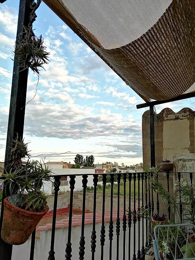 Can Ventura - B&B Deltebre