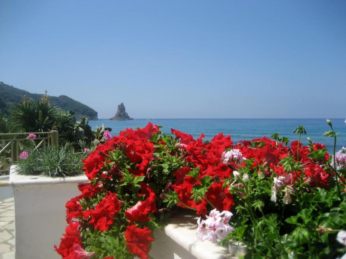 Appartement - Vue sur Mer