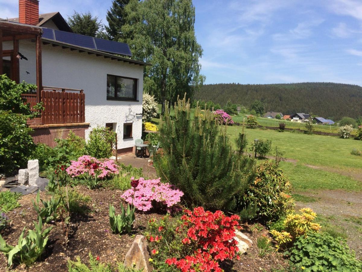 Haus am Wald - Urlaub am Nationalpark - Ferienwohnung