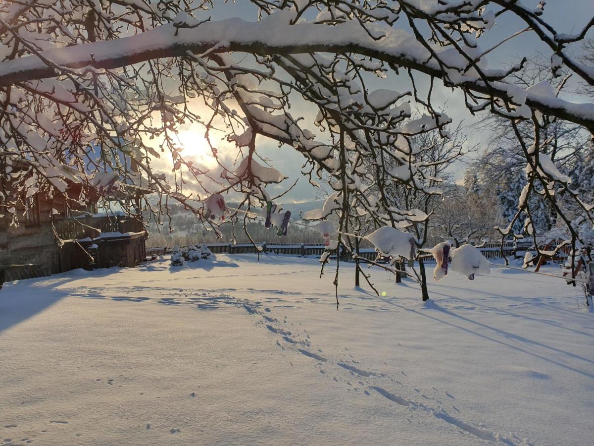 Villa con 2 Camere da Letto