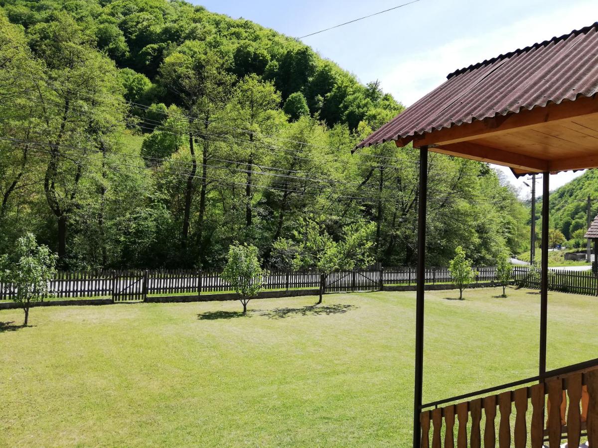 Casa Robildi - B&B Topliţa