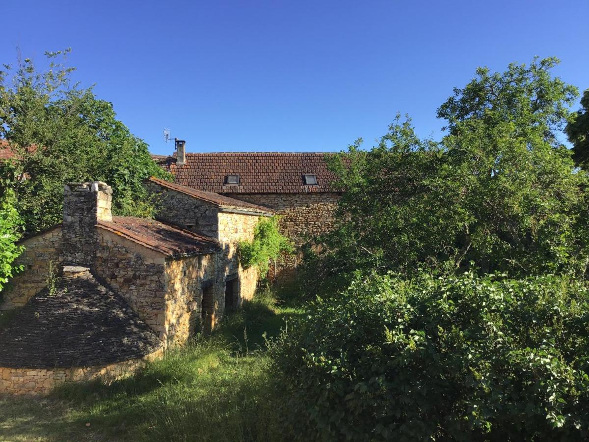 Suite con Vista Giardino