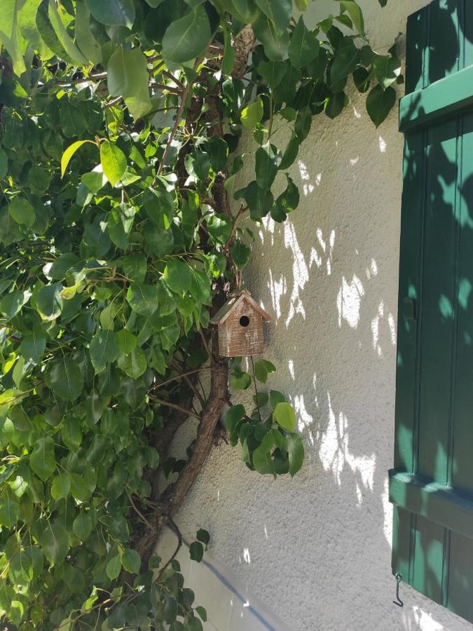 Gîte de la roseraie - B&B