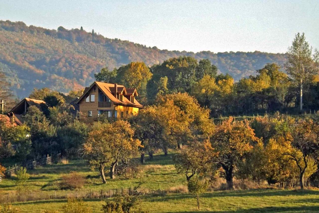 B&B Sălişte - Casa Zollo - Bed and Breakfast Sălişte