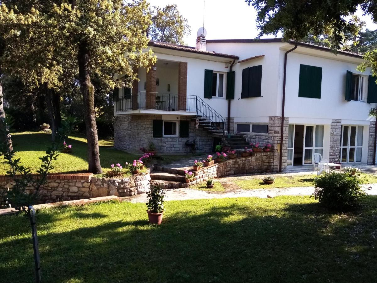 B&B Tirrenia - Villa Aurora - Bed and Breakfast Tirrenia