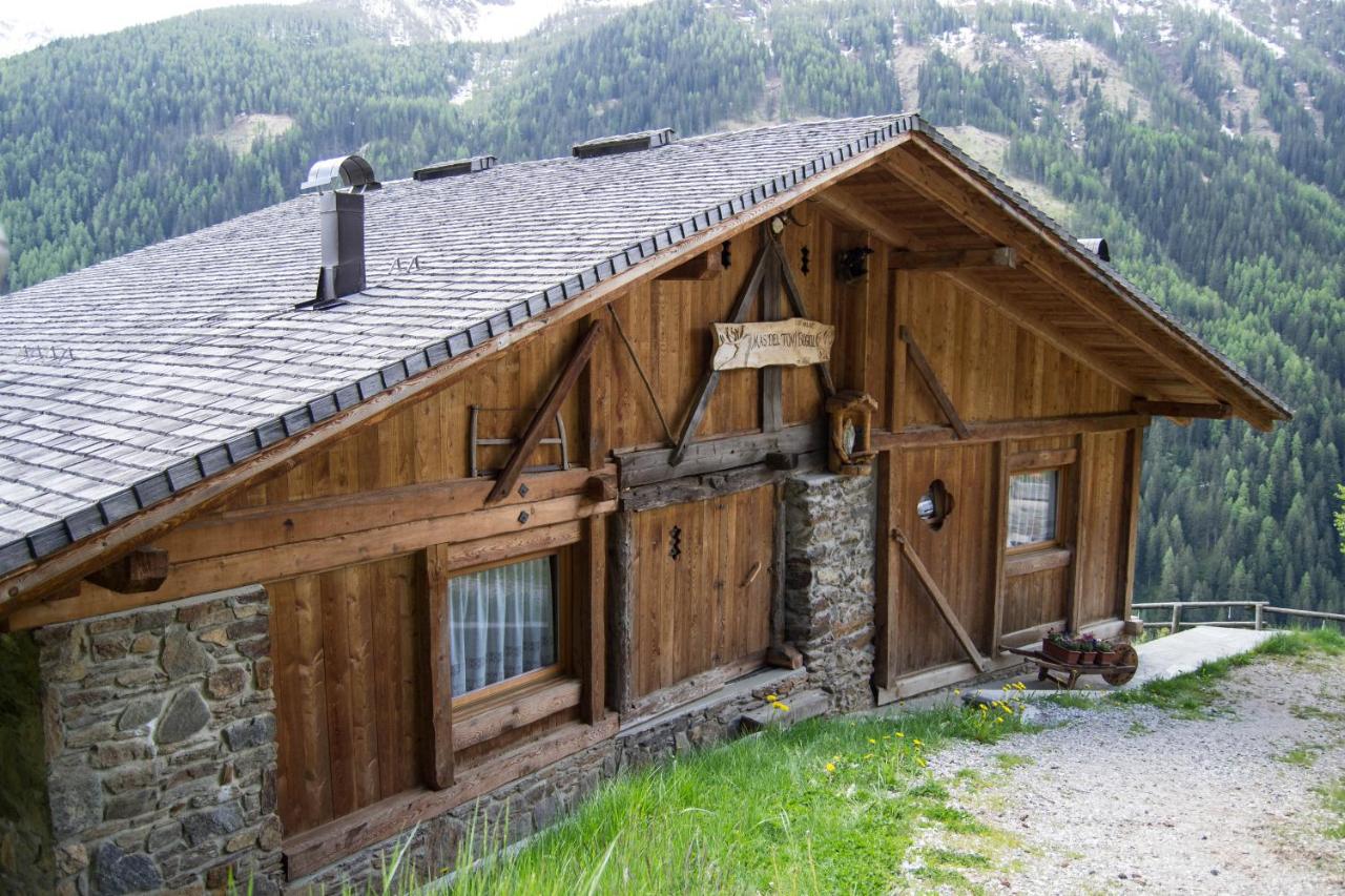 Chalet Mas del Toni - B&B