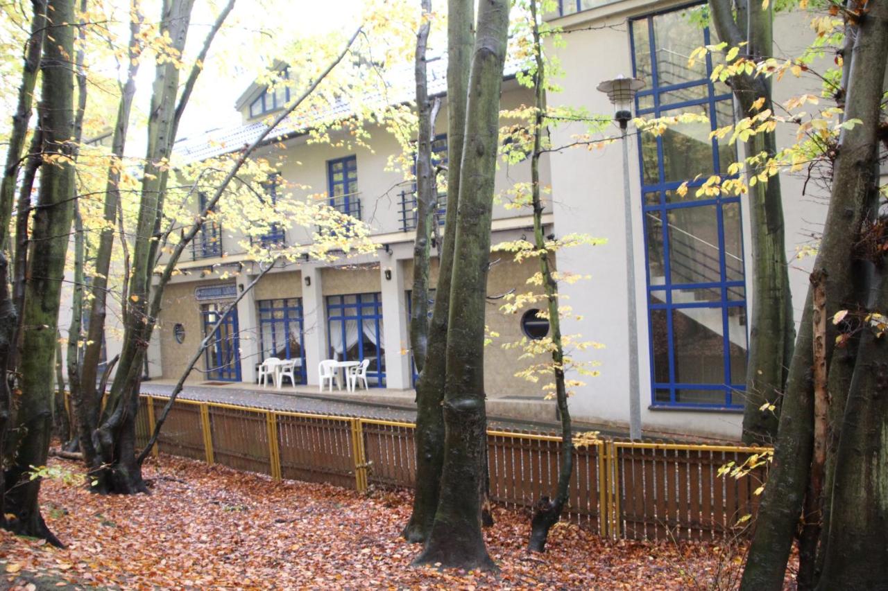 Hotel Leśny - B&B