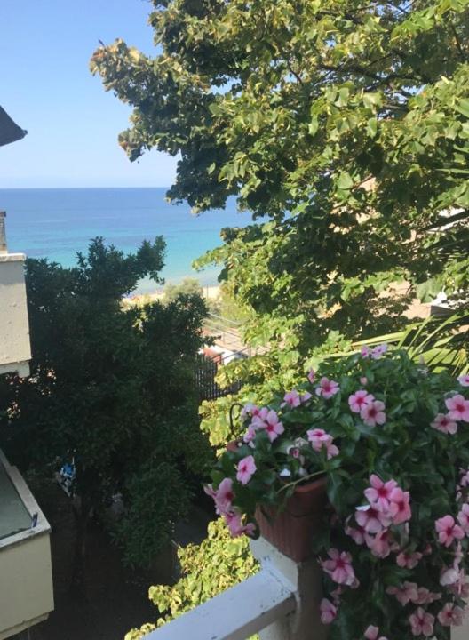 Marija apartment with a sea view terrace! - B&B Nea Moudania