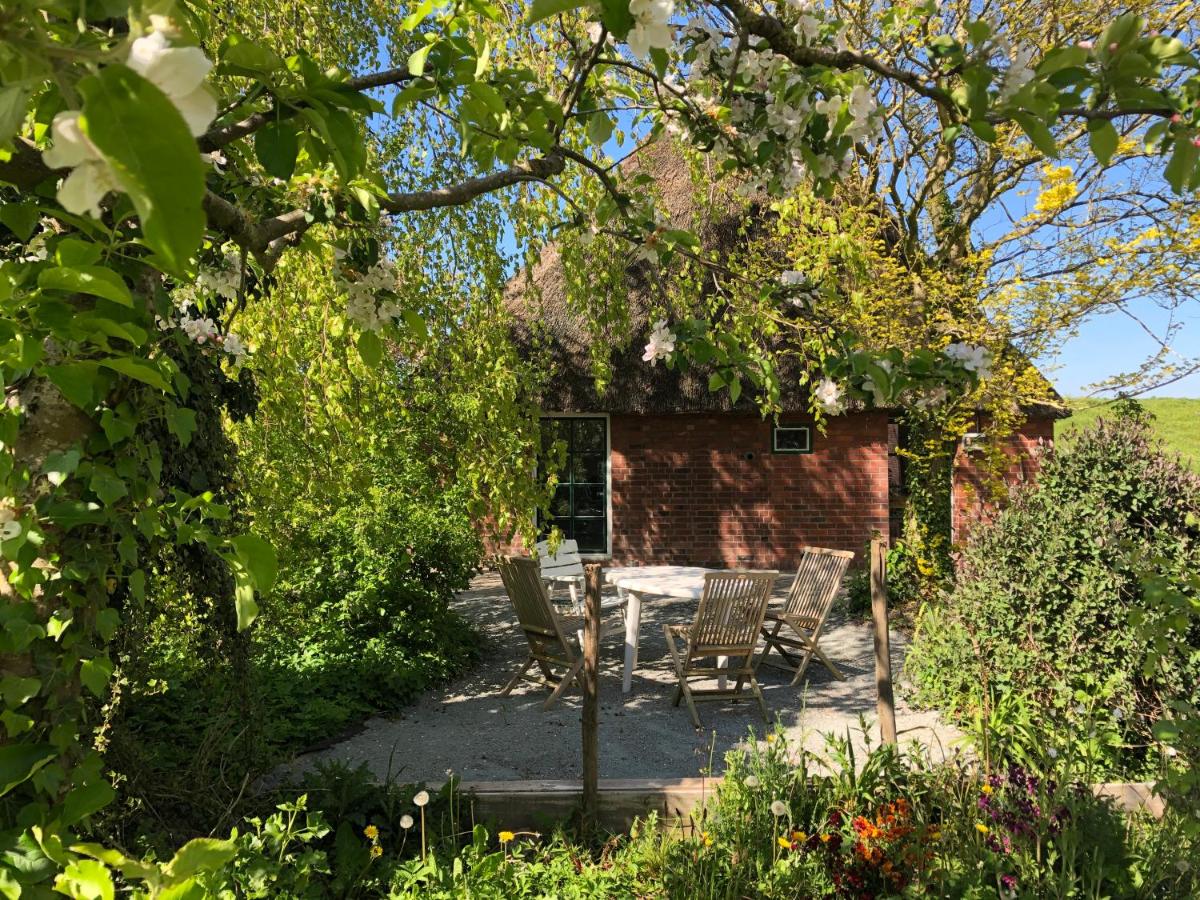 Haus Käthe am Deich - B&B Balje