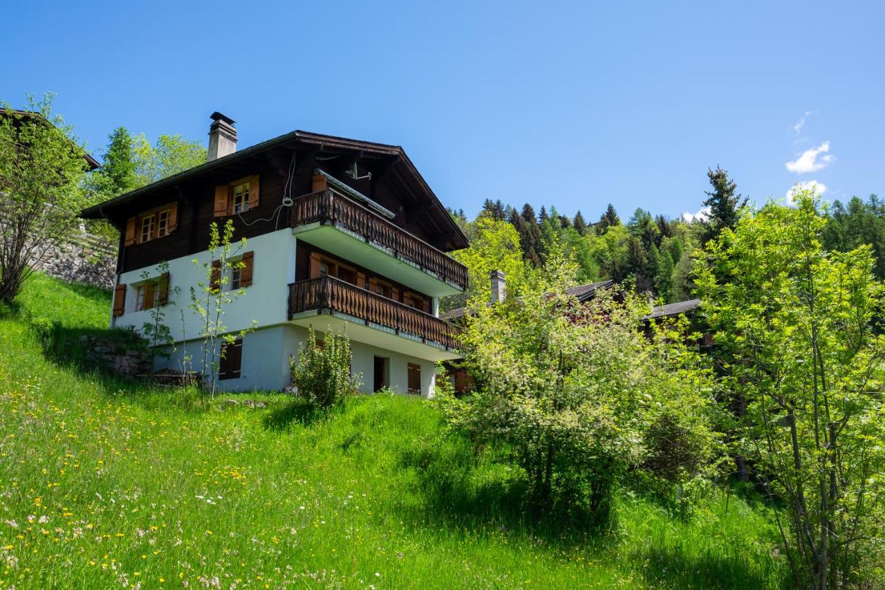 B&B Bellwald - Chalet Orion - Bed and Breakfast Bellwald