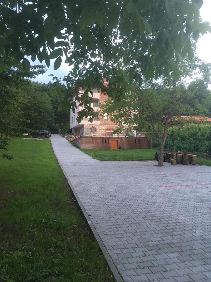 Vila Akademik A1 - Ferienwohnung Soko Banja