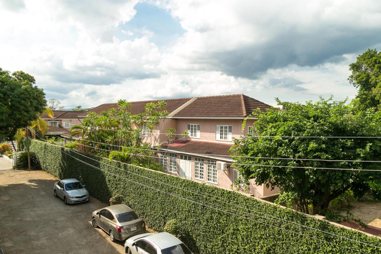 Studio with Garden View