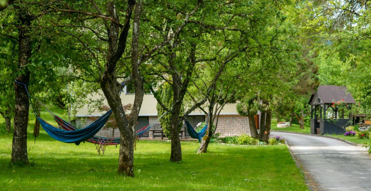 Apartment Arh - B&B