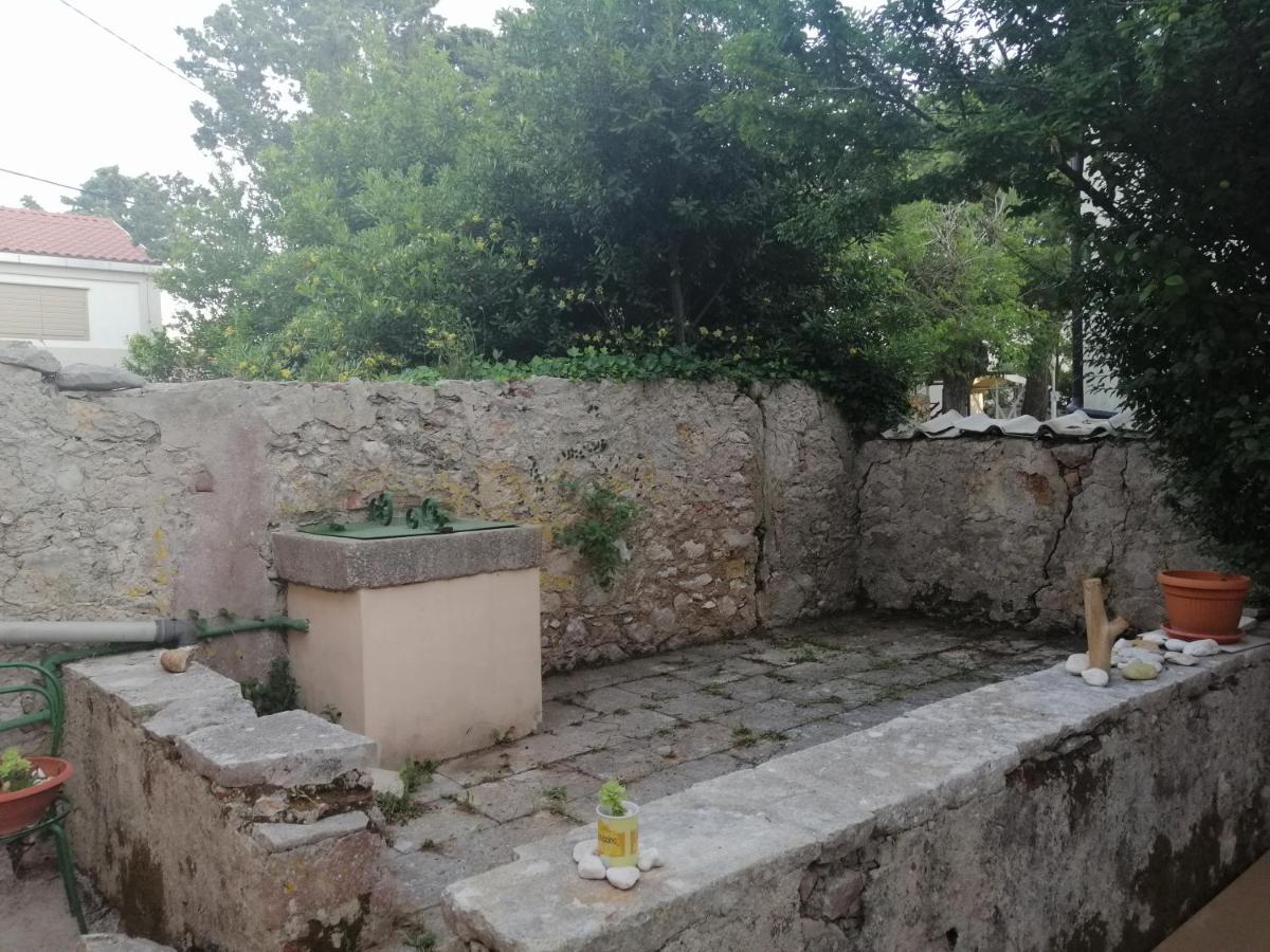 Holiday house Jasna in island center - B&B Silba